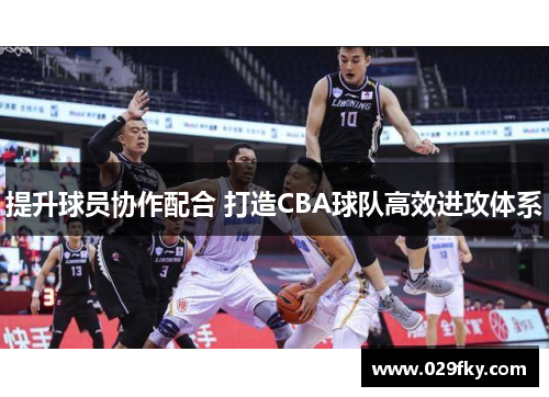 提升球员协作配合 打造CBA球队高效进攻体系